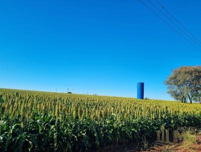 Sítio / Chácara para Venda, em Ipauçu, bairro Zona Rural