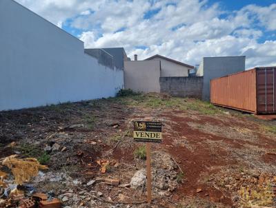 imagem-miniatura